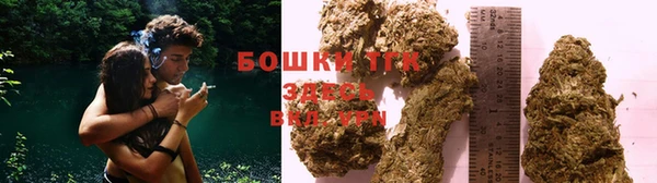 индика Абинск