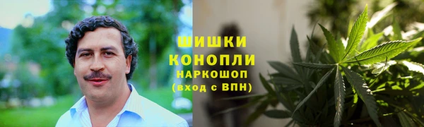 индика Абинск