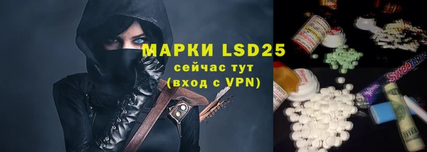 индика Абинск