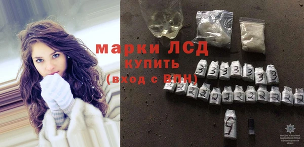 индика Абинск