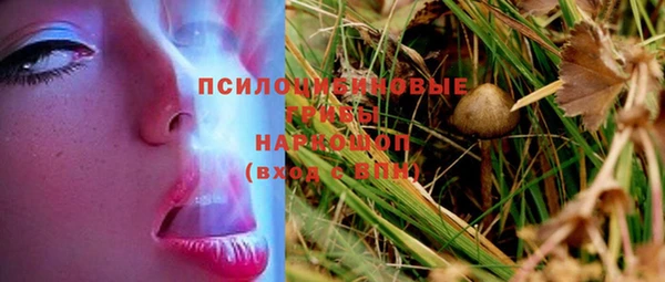 индика Абинск