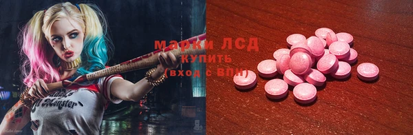 индика Абинск