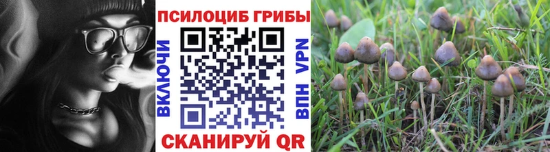 MEGA зеркало  Остров  Псилоцибиновые грибы Cubensis 